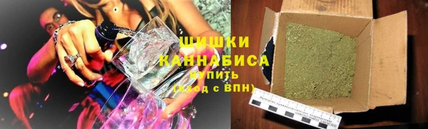 шишки Богородск