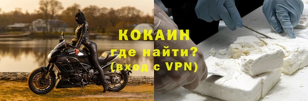 шишки Богородск