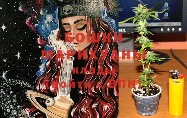 шишки Богородск
