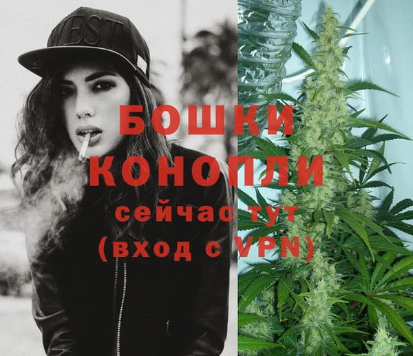 шишки Богородск