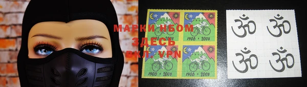 шишки Богородск