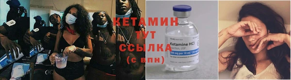 шишки Богородск