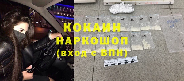 шишки Богородск